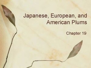 Japanese European and American Plums Chapter 19 Types