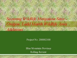 Securing Wildlife Mitigation Sites Oregon Ladd Marsh Wildlife