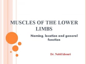 MUSCLES OF THE LOWER LIMBS Naming location and