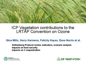 ICP Vegetation contributions to the LRTAP Convention on