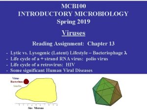 MCB 100 INTRODUCTORY MICROBIOLOGY Spring 2019 Viruses Reading