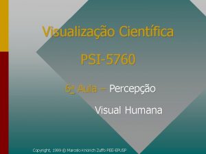 Visualizao Cientfica PSI5760 6 a Aula Percepo Visual