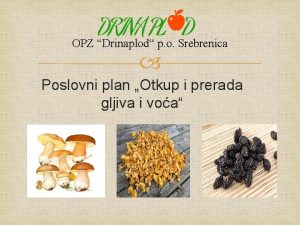 OPZ Drinaplod p o Srebrenica Poslovni plan Otkup