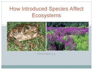 How Introduced Species Affect Ecosystems CHAPTER 3 3