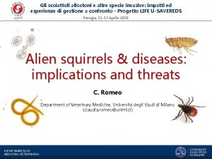 Gli scoiattoli alloctoni e altre specie invasive impatti