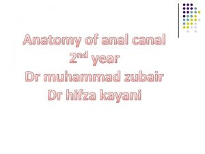 Anatomy of anal canal nd 2 year Dr