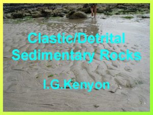 ClasticDetrital Sedimentary Rocks I G Kenyon Characteristics of