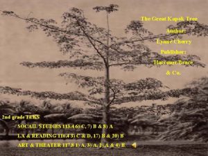 The Great Kapok Tree Author Lynne Cherry Publisher