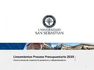 Lineamientos Proceso Presupuestario 2019 Vicerrectora de Asuntos Econmicos