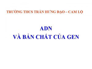 TRNG THCS TRN HNG O CAM L ADN