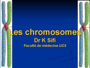 Les chromosomes Dr K Sifi Facult de mdecine