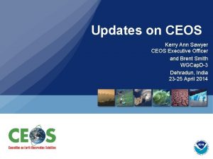 Updates on CEOS Kerry Ann Sawyer CEOS Executive