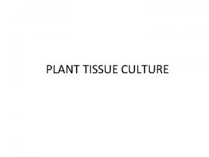PLANT TISSUE CULTURE Plant Tissue Culture Definition The