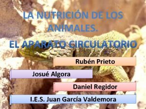 LA NUTRICIN DE LOS ANIMALES Rubn Prieto Josu