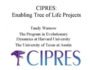 CIPRES Enabling Tree of Life Projects Tandy Warnow