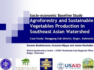 Socioeconomic Baseline Study Agroforestry and Sustainable Vegetables Production