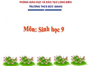 PHNG GIO DC V O TO LONG BIN