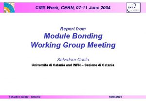 CMS Week CERN 07 11 June 2004 Report