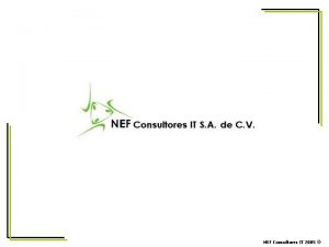 NEF Consultores IT 2005 ANTECEDENTES NEF Consultores IT