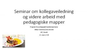 Seminar om kollegaveiledning og videre arbeid med pedagogiske