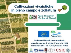 Coltivazioni vivaistiche in pieno campo e zollatura Paolo