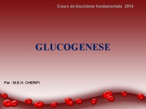 Cours de biochimie fondamentale 2014 GLUCOGENESE Par M