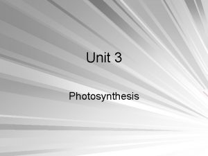 Unit 3 Photosynthesis Overview The Process That Feeds