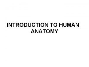 INTRODUCTION TO HUMAN ANATOMY Definition Anatomy is the