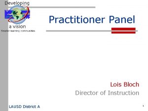 Practitioner Panel Lois Bloch Director of Instruction LAUSD