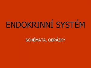 ENDOKRINN SYSTM SCHMATA OBRZKY 1 Popite obrzek esky