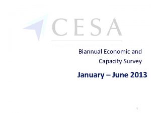 Biannual Economic and Capacity Survey January June 2013