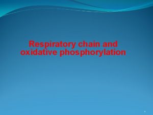 Respiratory chain and oxidative phosphorylation 1 Respiratory chain