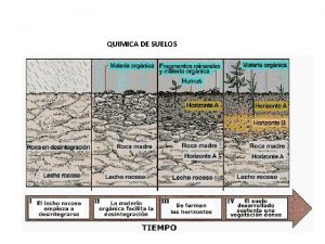 QUIMICA DE SUELOS COMPOSICIN DE LA MATERIA ROGRANICA