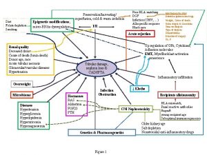 Diet Folate depletion Smoking Epigenetic modifications microRNAs dysregulation