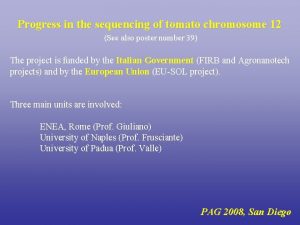 Progress in the sequencing of tomato chromosome 12