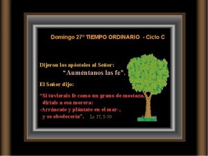 Domingo 27 TIEMPO ORDINARIO Ciclo C Dijeron los