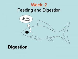 Week 2 Feeding and Digestion Eat your Veggies