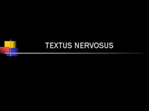 TEXTUS NERVOSUS TEXTUS NERVOSUS CENTRAL Medulla Spinalis N