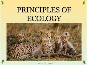 PRINCIPLES OF ECOLOGY NUTRITION AND ENERGY Ecology Study