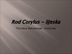 Rod Corylus lijeska Porodica Betulaceae brezovke Ishodi uenja