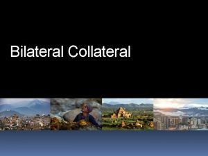 Bilateral Collateral Common Sense Joint Strategy For Nepal