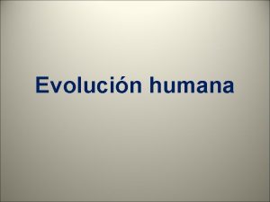 Evolucin humana LOS PRIMATES Ubicacin taxonmica Reino Animal