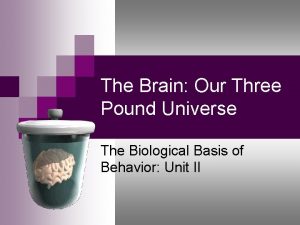 The Brain Our Three Pound Universe The Biological