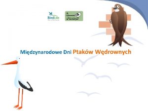 Midzynarodowe Dni Ptakw Wdrownych Idziemy na wycieczk w