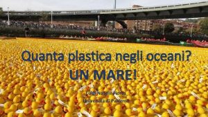 Quanta plastica negli oceani UN MARE Luigi NaselliFlores