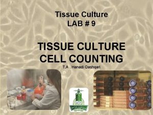 Tissue Culture LAB 9 TISSUE CULTURE CELL COUNTING