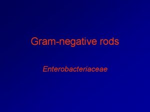 Gramnegative rods Enterobacteriaceae Characters of Enterobacteriaceae All Enterobacteriaciae