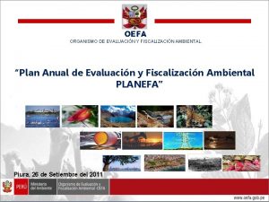 OEFA ORGANISMO DE EVALUACIN Y FISCALIZACIN AMBIENTAL Plan