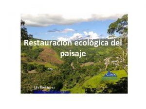 Restauracin ecolgica del paisaje Lily Rodriguez lrodriguezcima org