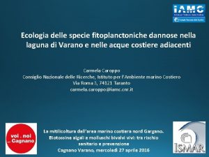 Ecologia delle specie fitoplanctoniche dannose nella laguna di